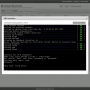 vmware-tty-vnc.png